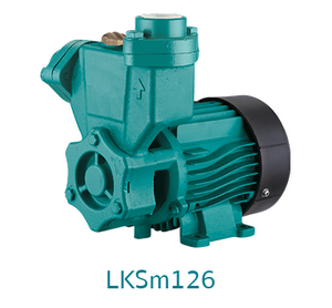 ตัวแทนจำหน่าย ร้านขายปลีก-ส่งเครื่องสูบน้ำ-ปั๊มน้ำใบพัดเฟืองไม่ต้องล่อน้ำ LEO LKSm126 (LEO LKSm126 domestic - self-priming peripheral pump) ในประเทศไทย