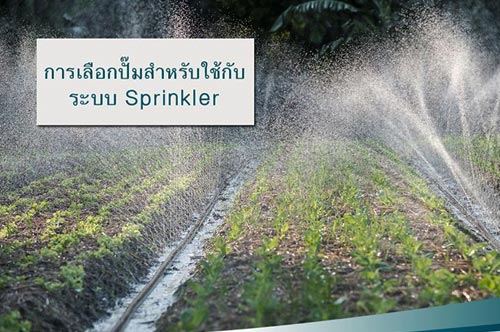 เลือกปั๊มน้ำสำหรับระบบ Sprinkler
